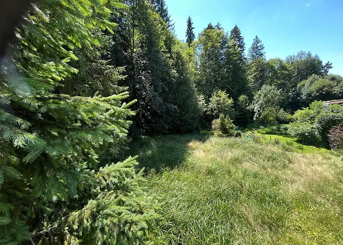 Dom Na Gazownikow12 *